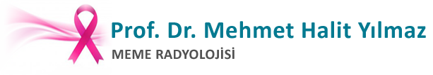 Prof. Dr. Mehmet Halit Yılmaz